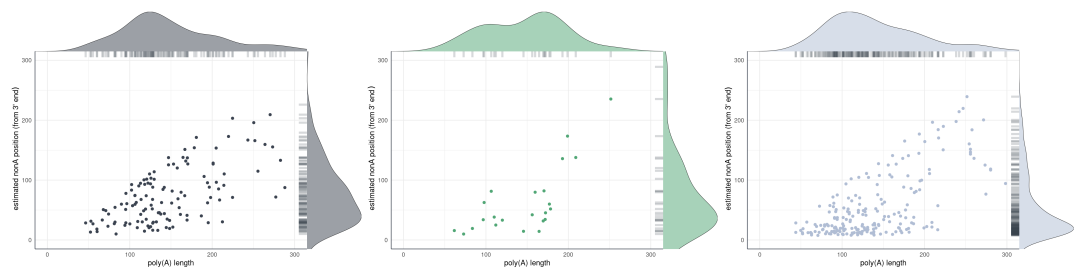Scatterplot with rug and density overlay showing positions of C residues